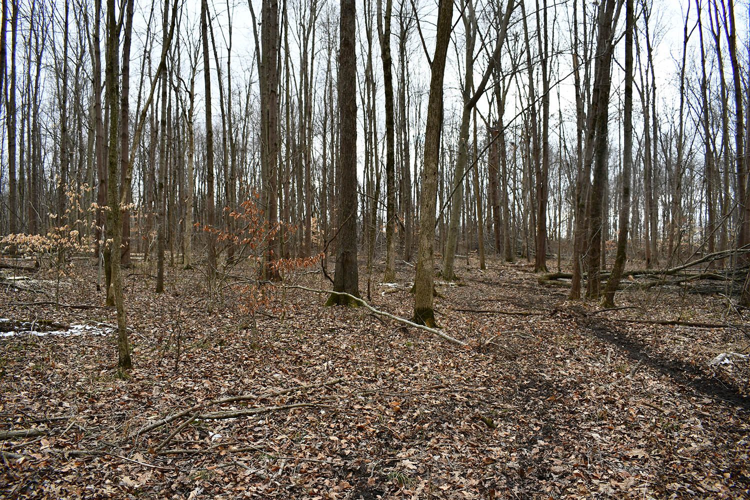 SOLD Great Farm Property With Hunting Opportunities in Blackford