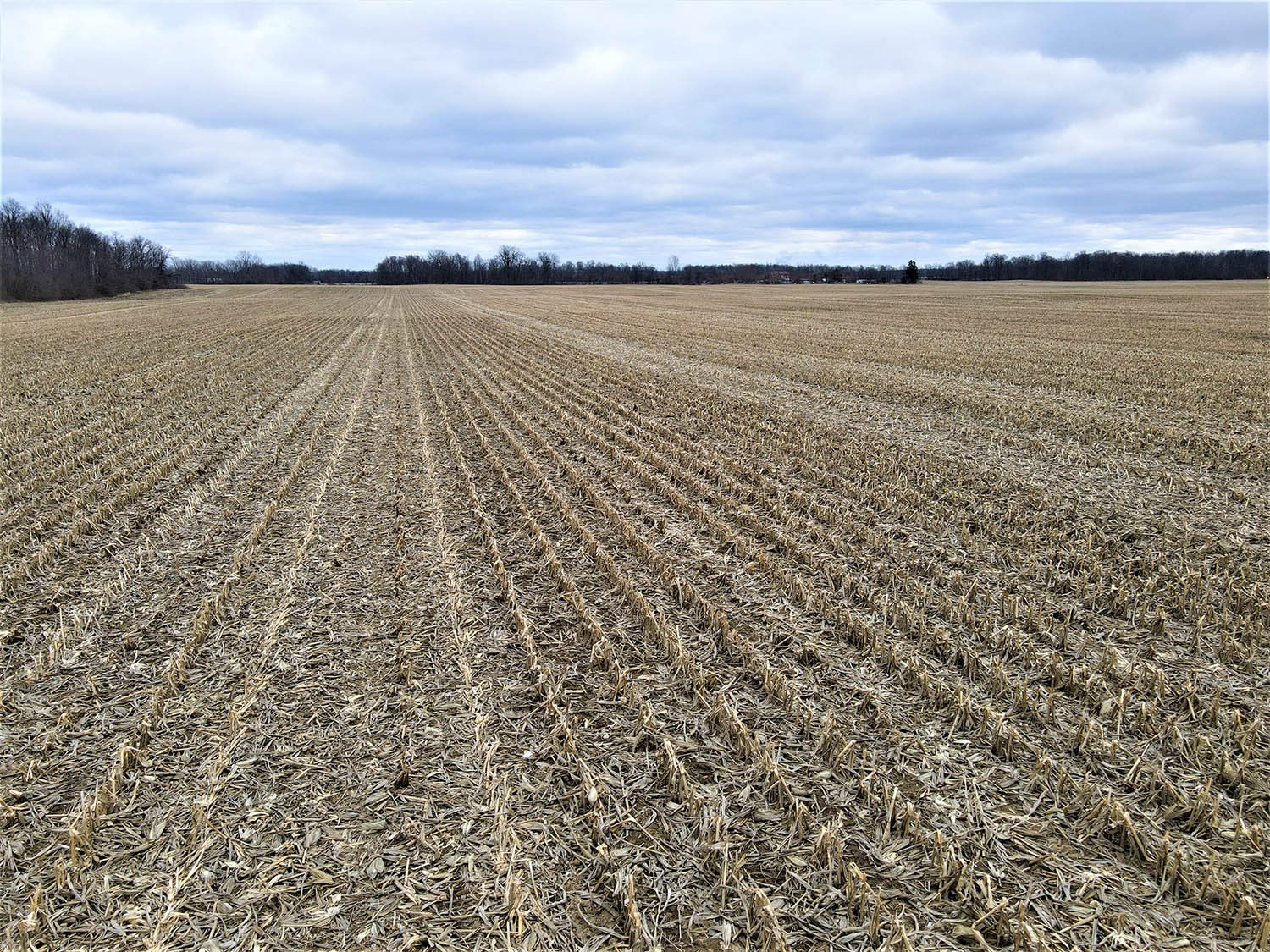 SOLD Great Farm Property With Hunting Opportunities in Blackford