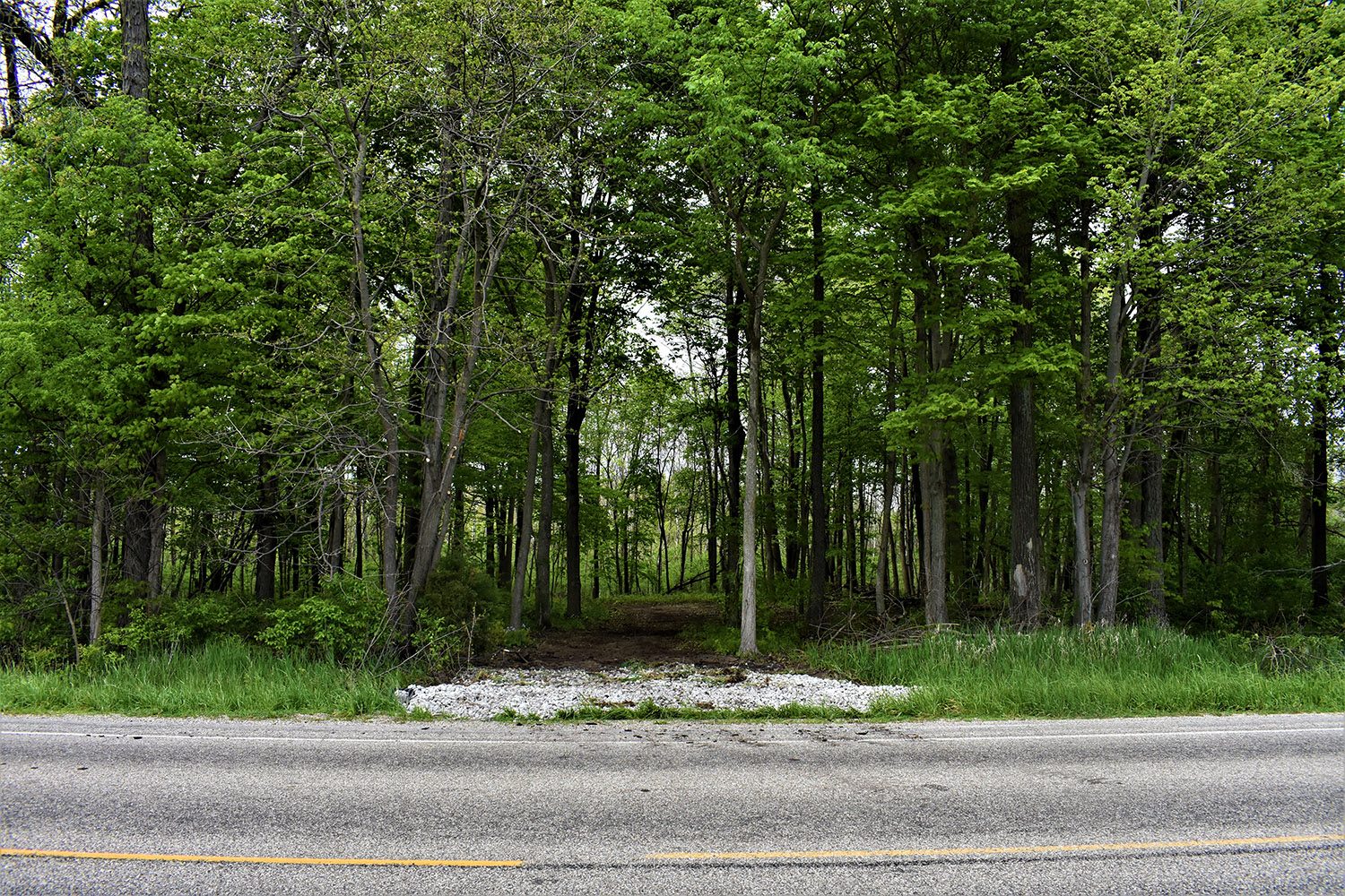 SOLD 62.00 Acre Hunter's Paradise for Sale in Fulton County, Indiana