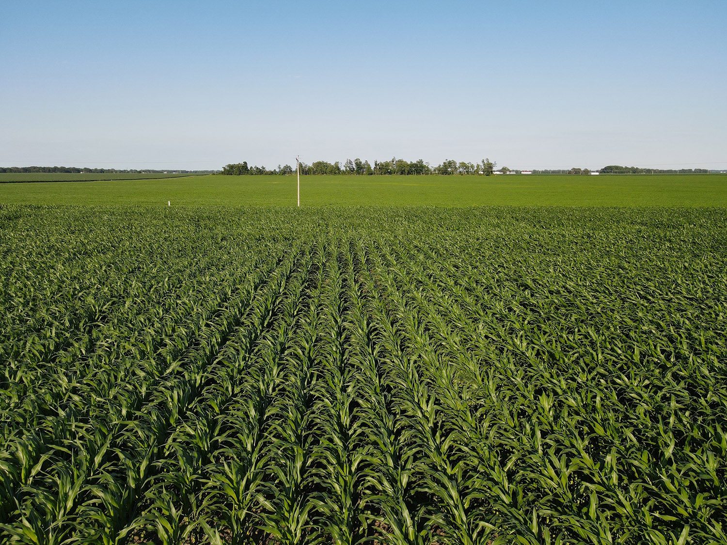 SWF10_vermillion_county_land_values