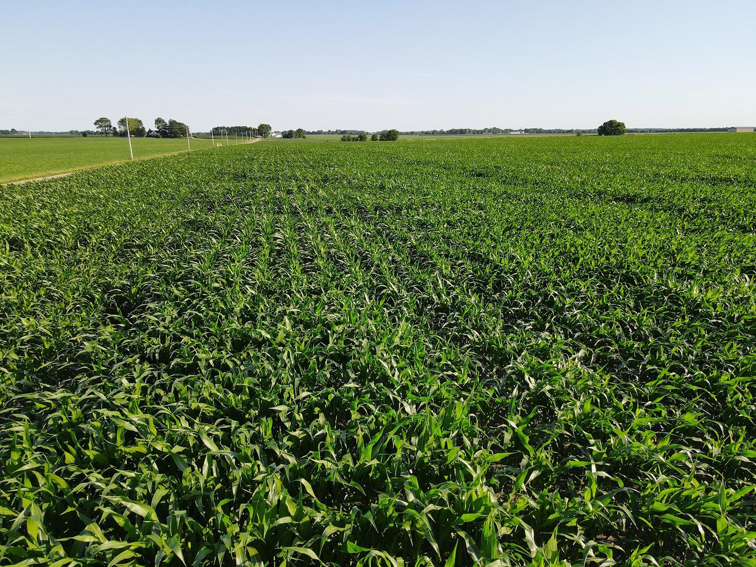 SWF11_vermillion_county_land_values