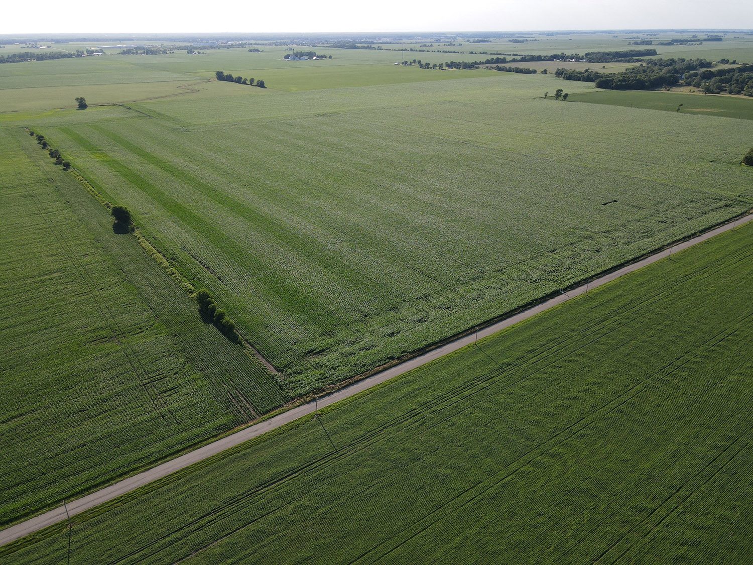 SWF5_vermillion_county_land_values