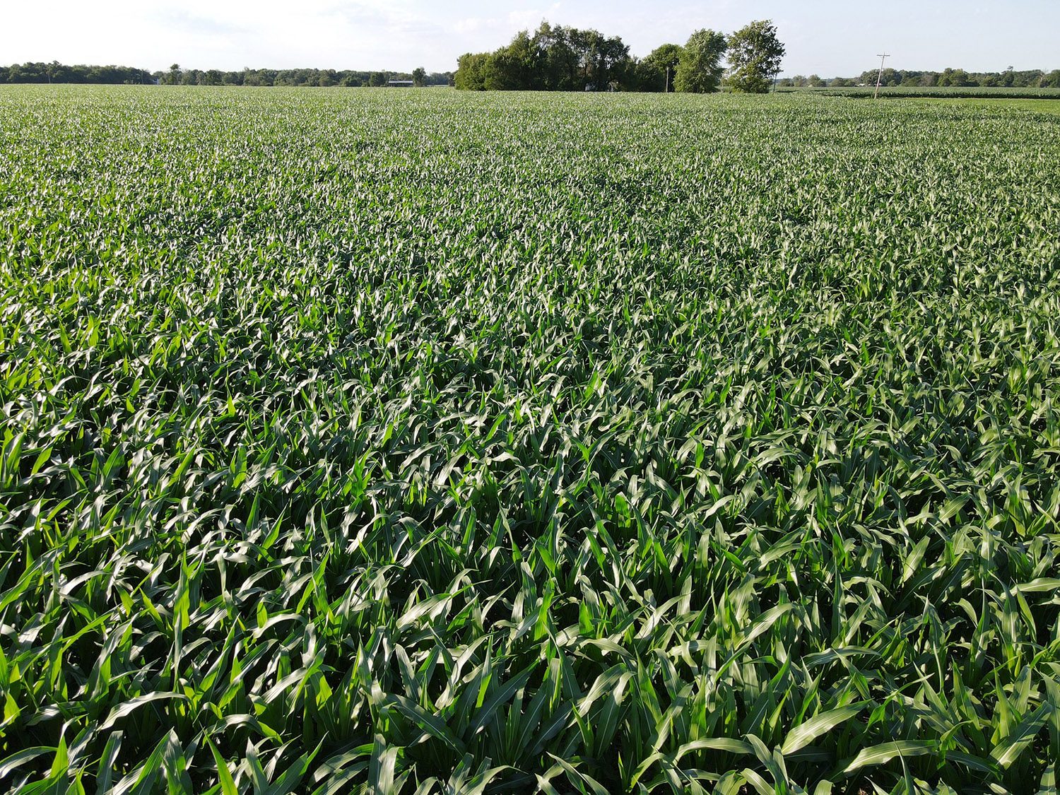 SWF6_vermillion_county_land_values