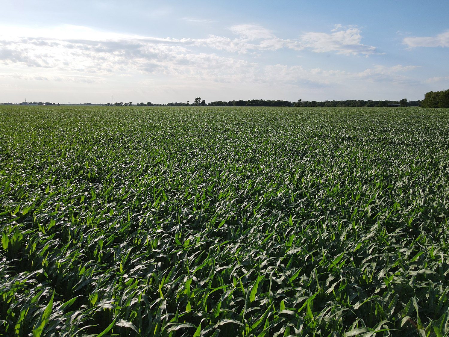 SWF7_vermillion_county_land_values