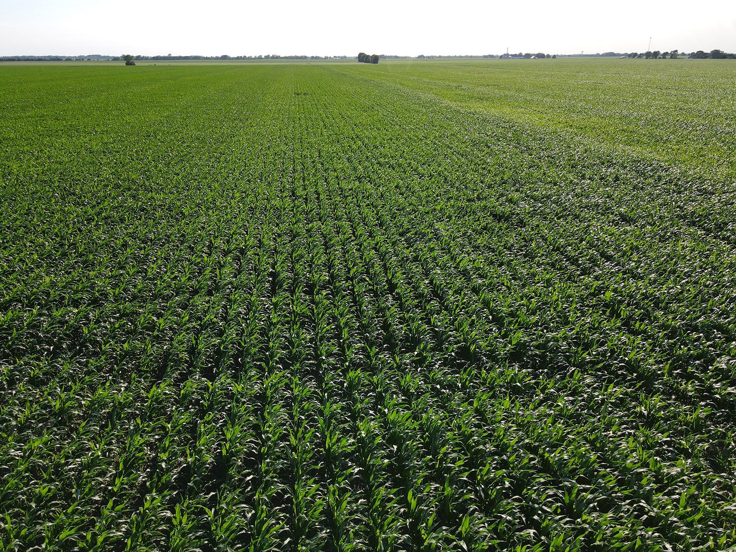 SWF8_vermillion_county_land_values