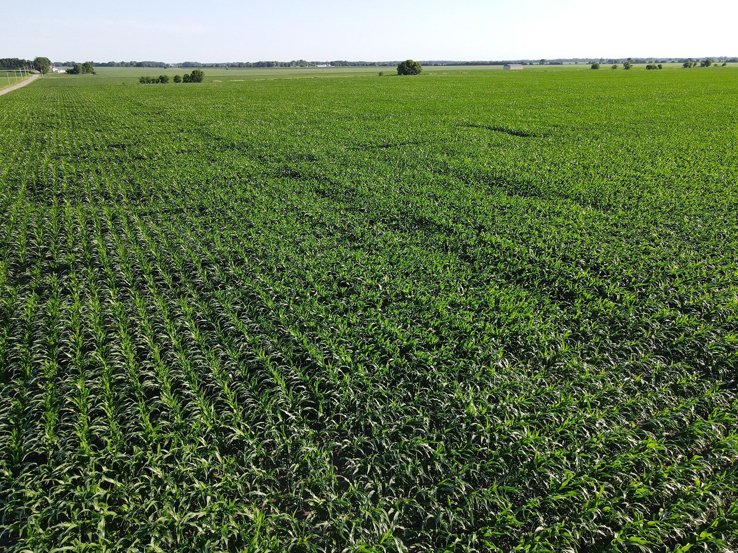 SWF9_vermillion_county_land_values