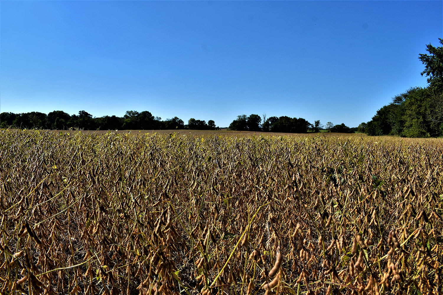 SOLD 30 Acres of Productive Farmland in Marshall County, Indiana