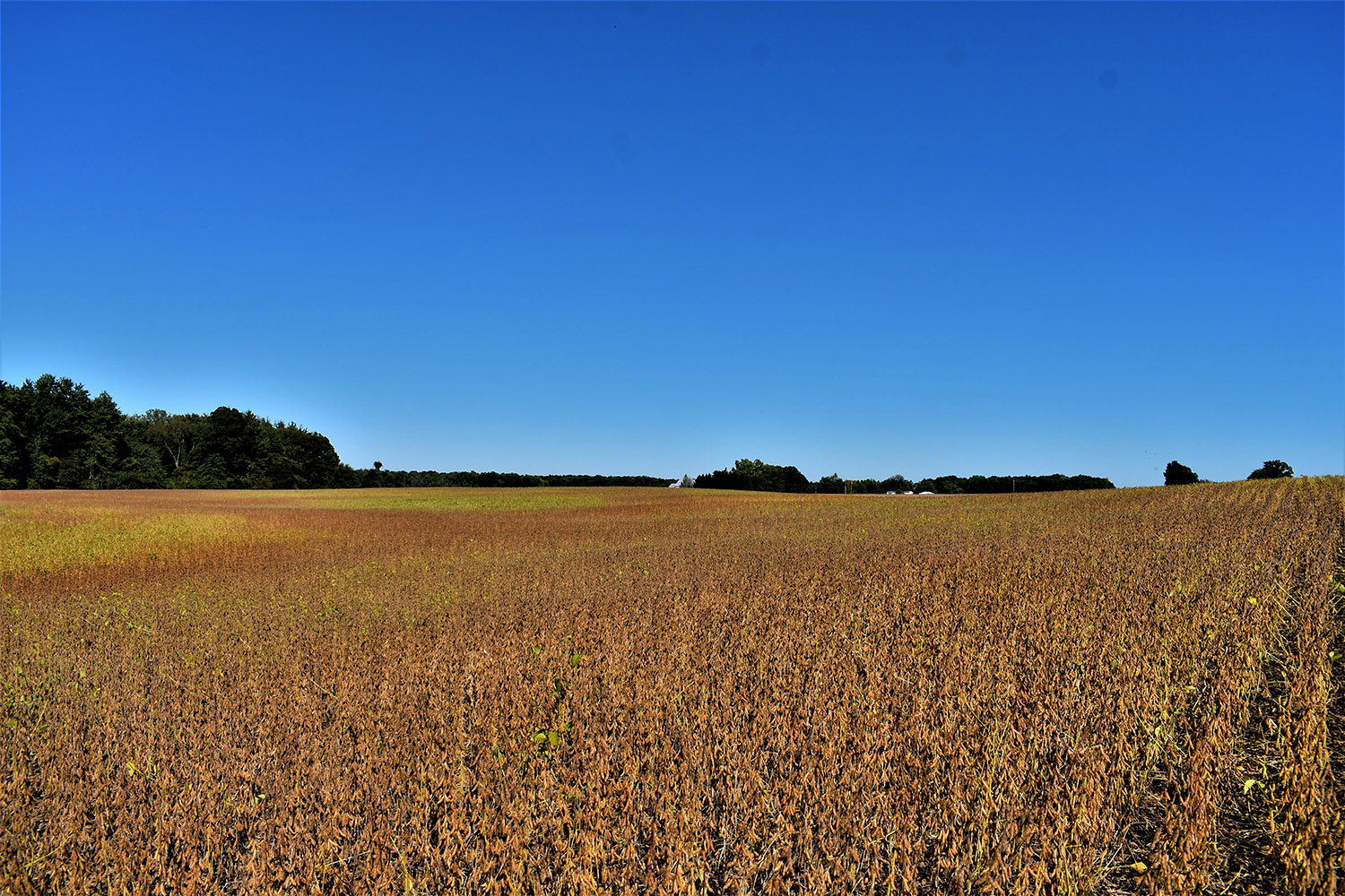 04 Farmland Investment propertymarshall_county_land_values