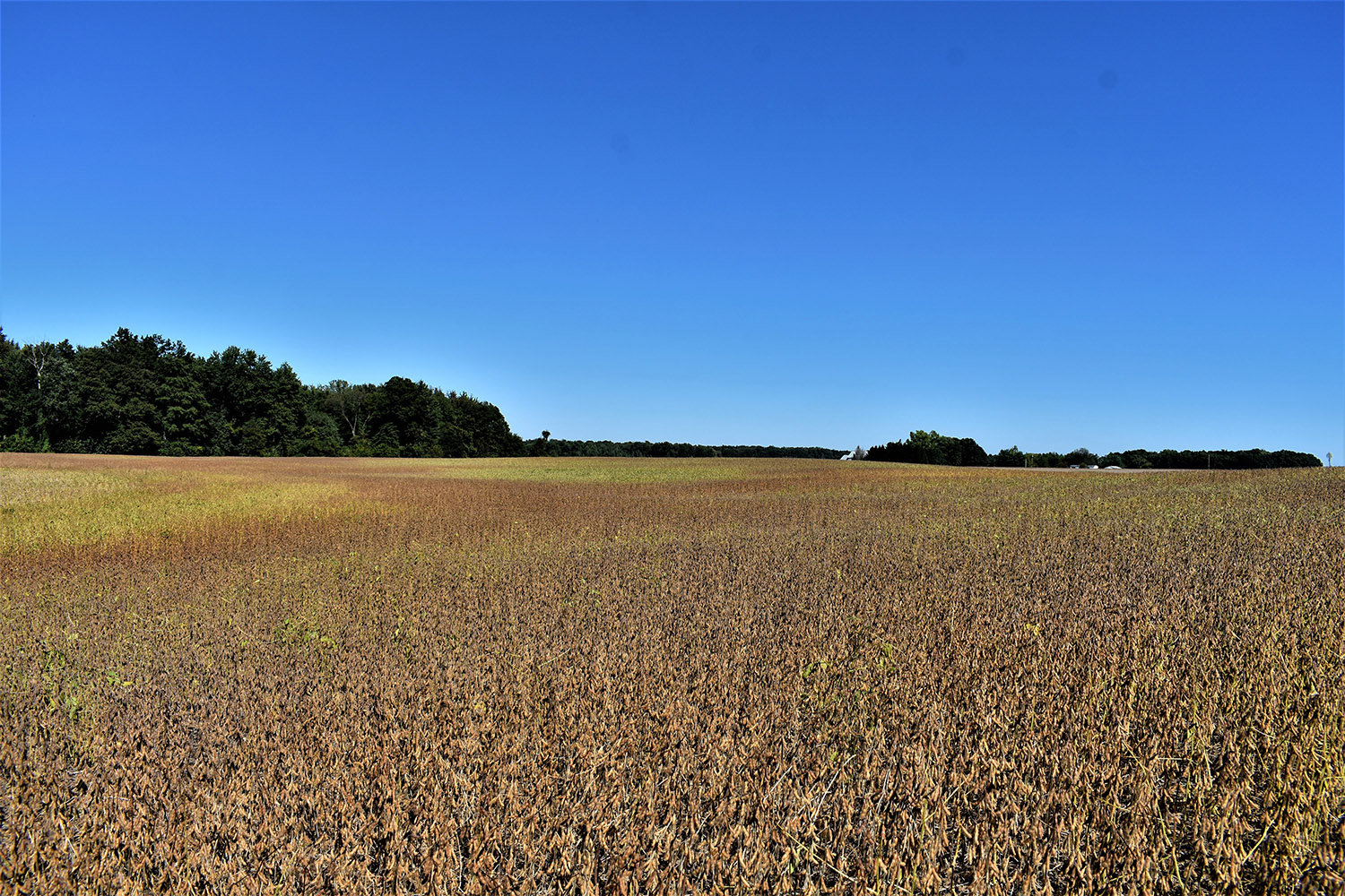 10marshall_county_land_values