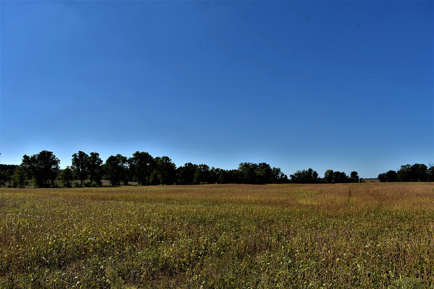 SOLD 30 Acres of Productive Farmland in Marshall County, Indiana