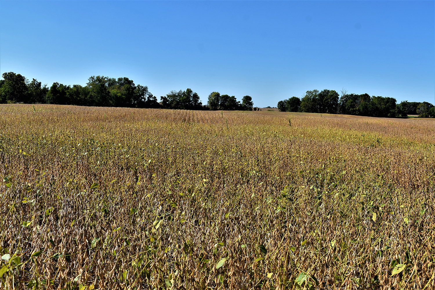 SOLD 30 Acres of Productive Farmland in Marshall County, Indiana