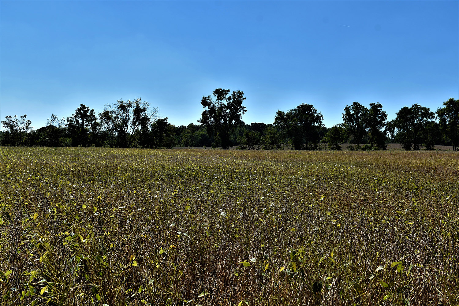 SOLD 30 Acres of Productive Farmland in Marshall County, Indiana