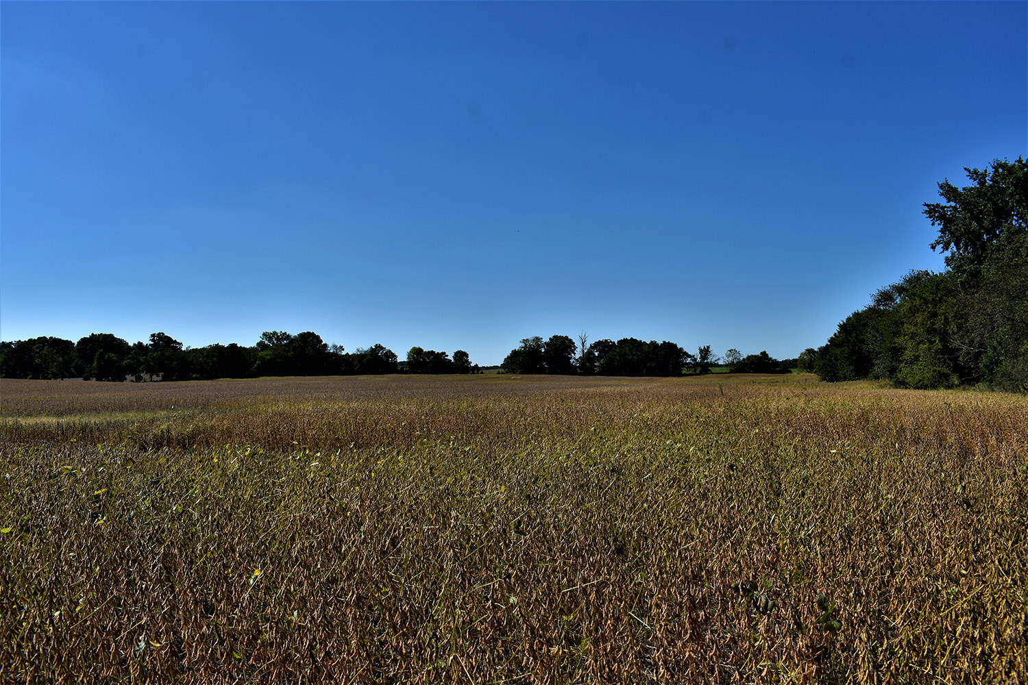 SOLD 30 Acres of Productive Farmland in Marshall County, Indiana