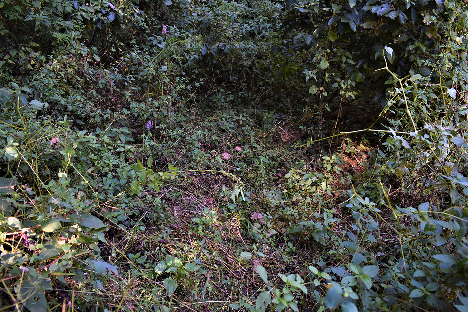 18marshall_county_land_values