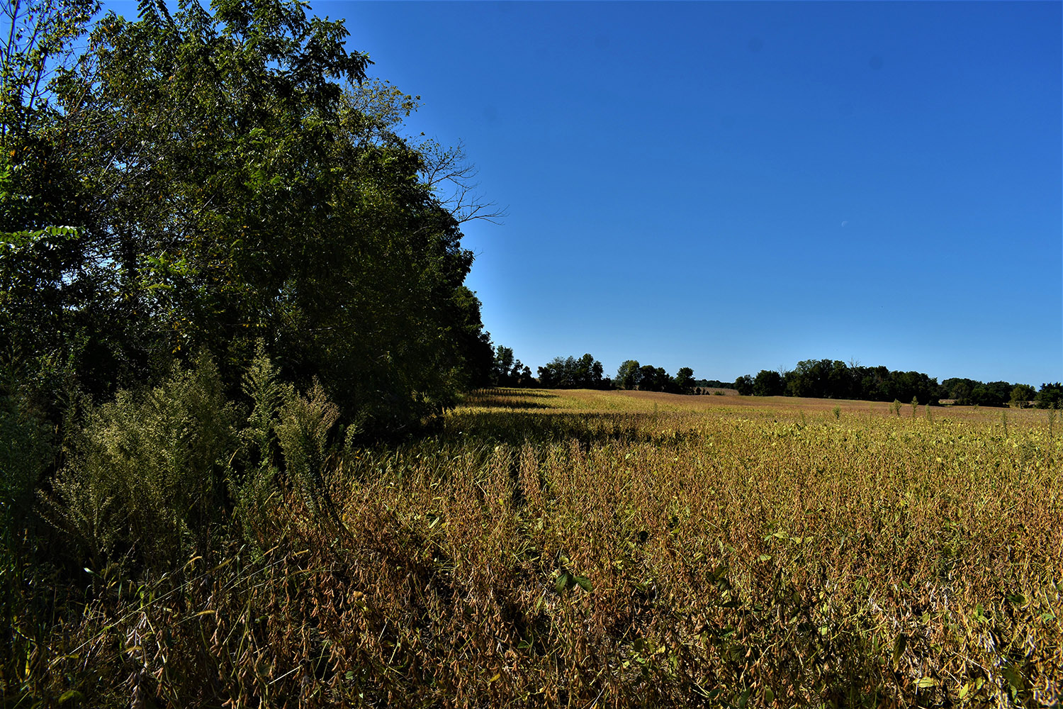 19marshall_county_land_for_sale