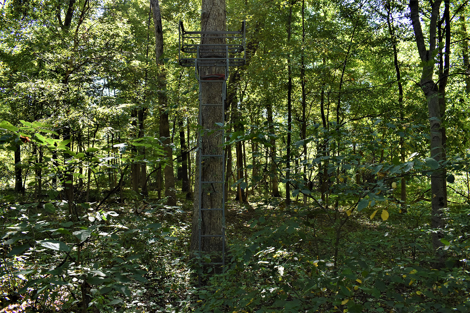 19marshall_county_land_values