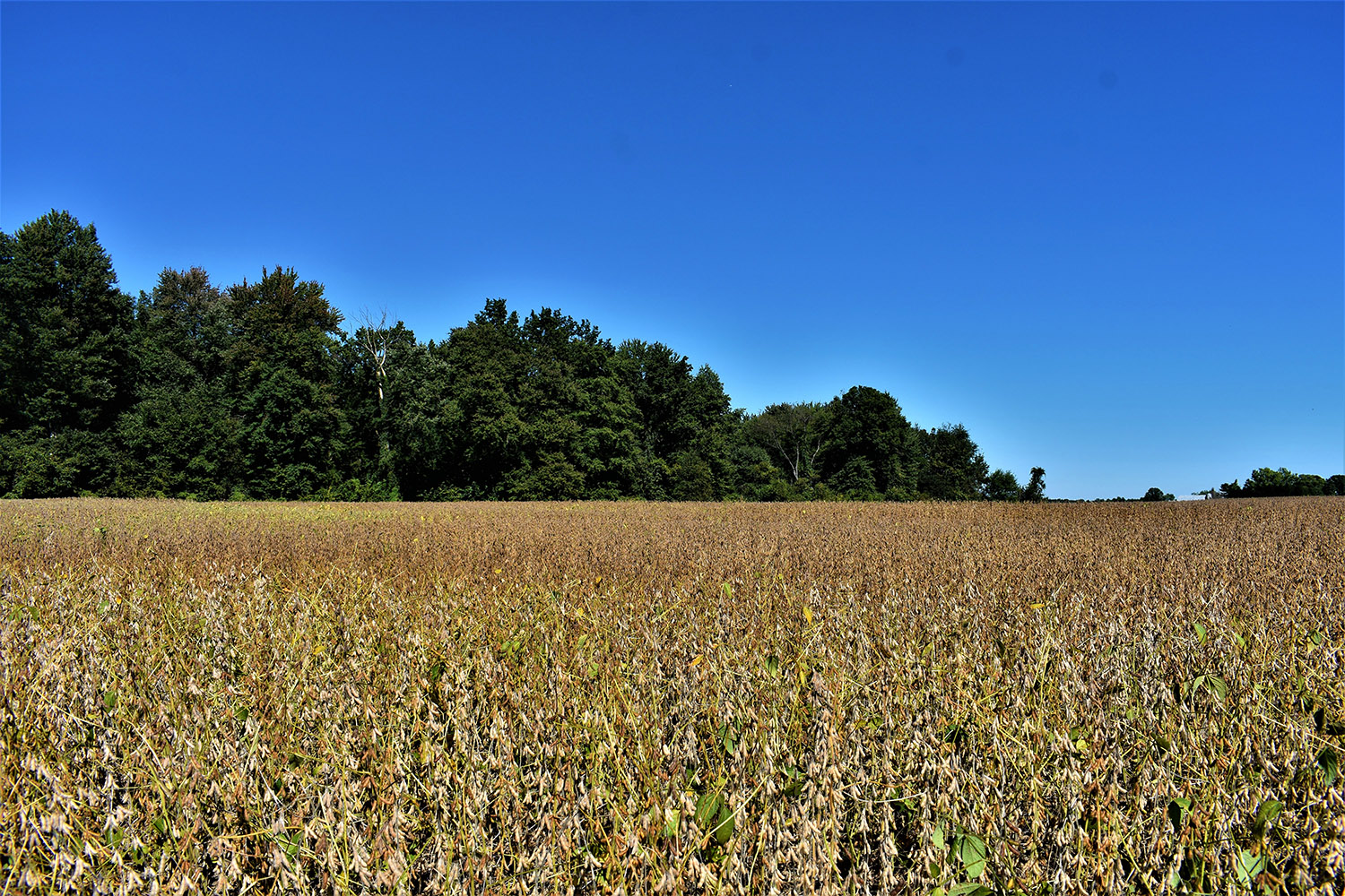 21marshall_county_land_values