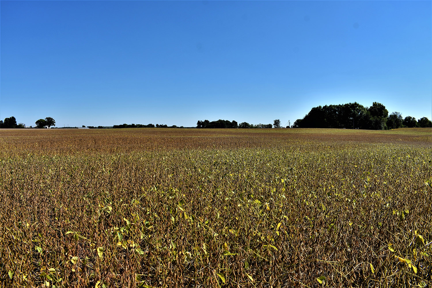 22marshall_county_land_values