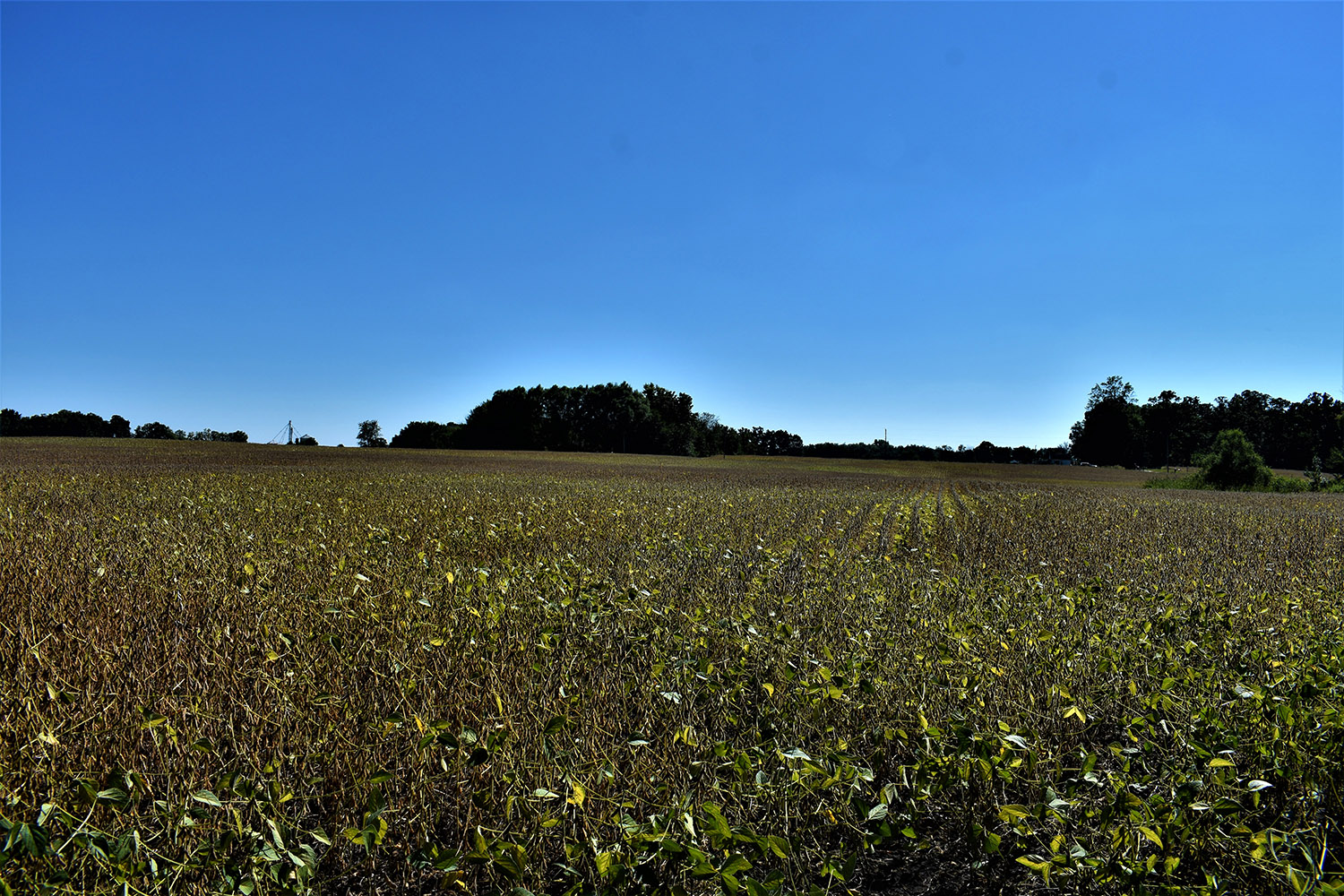 23marshall_county_land_values