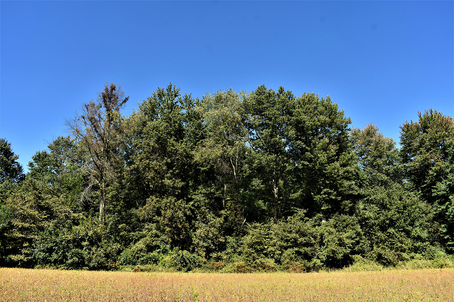 25marshall_county_land_values