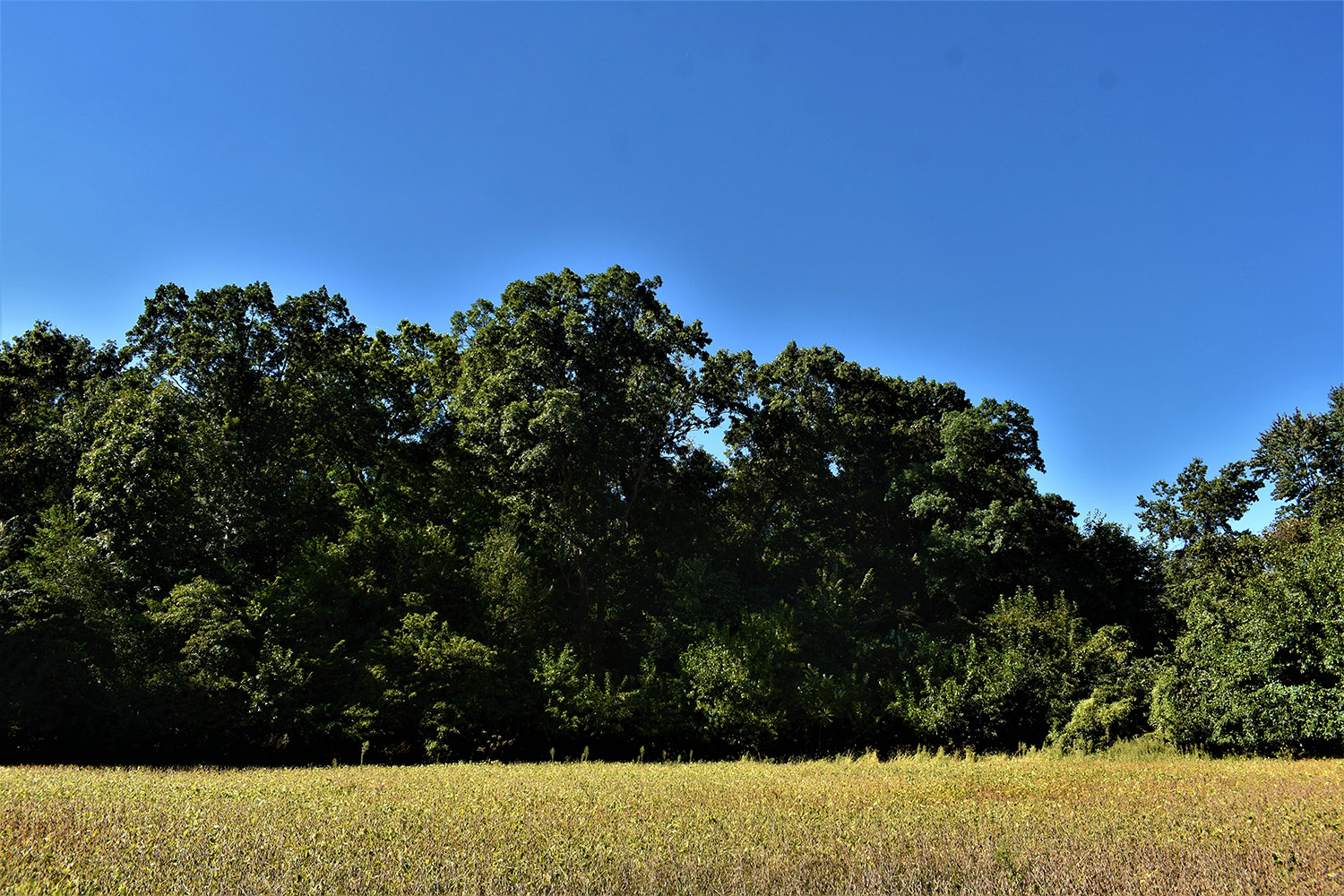 26marshall_county_land_values