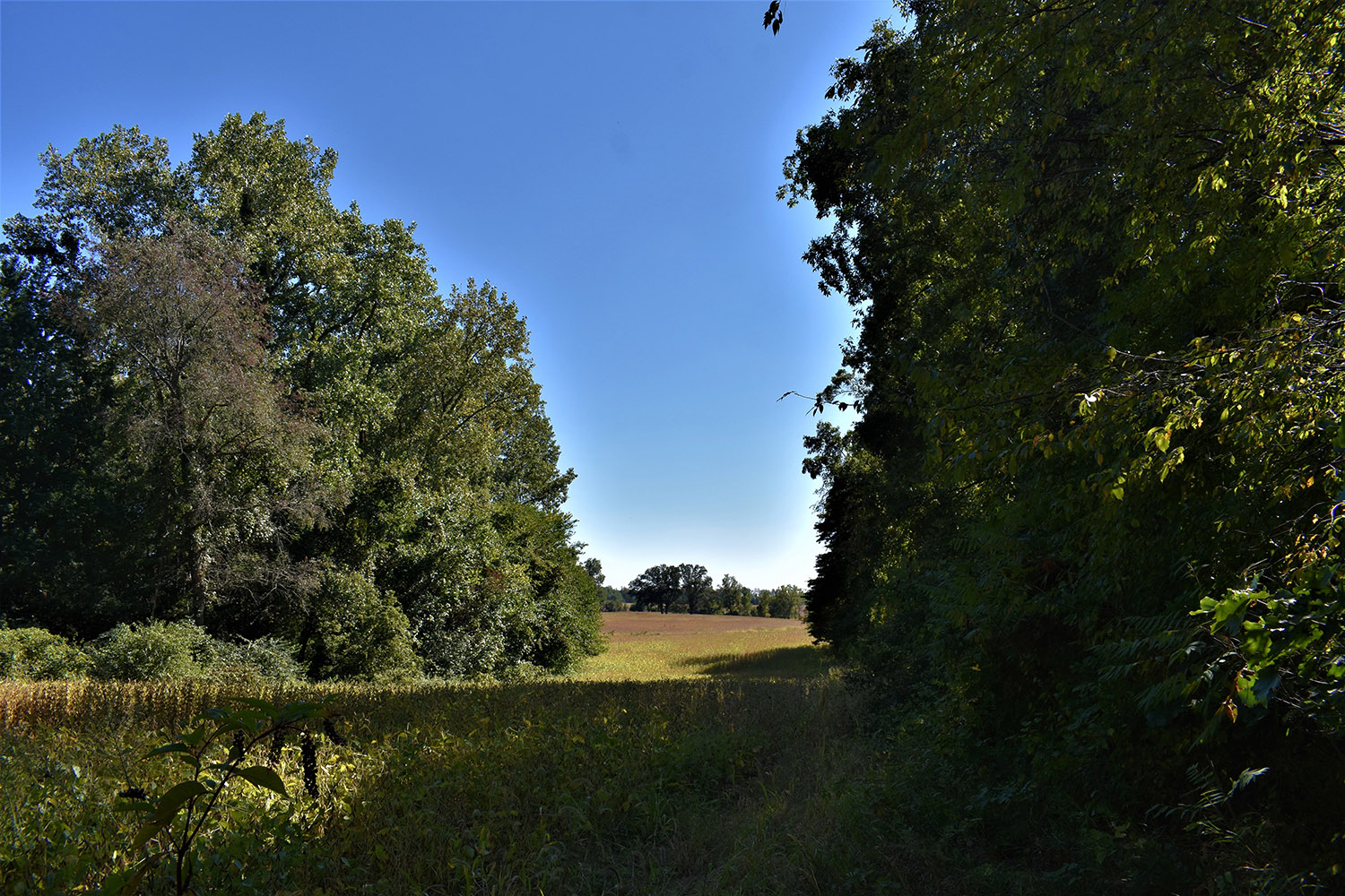 27marshall_county_land_values