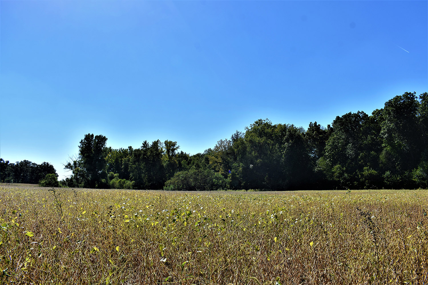 28marshall_county_land_values