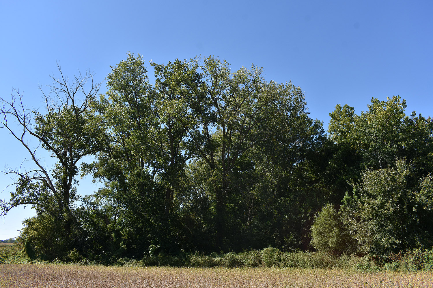 32marshall_county_land_values