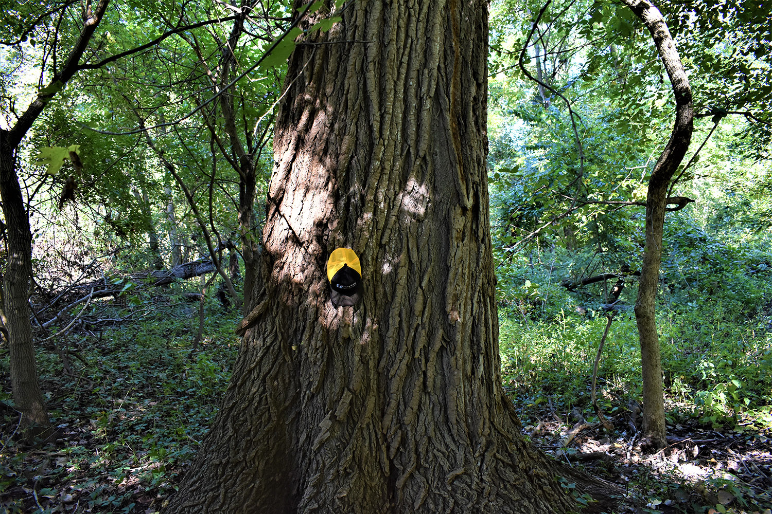 33marshall_county_land_values