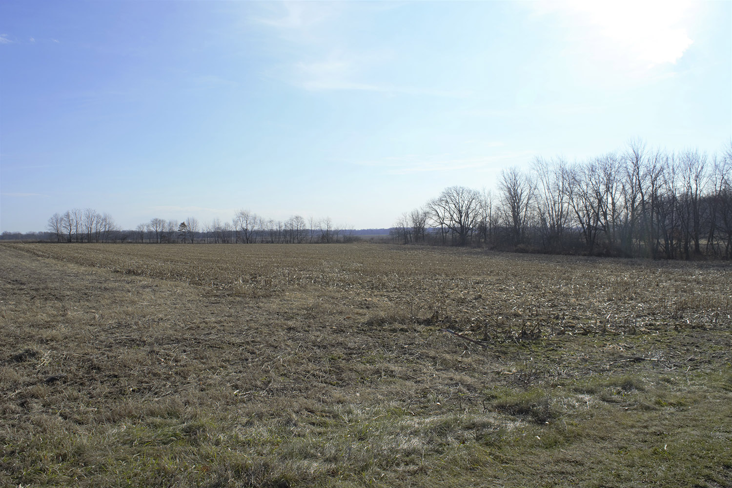6+/ Acres Prime Residential Development Lot! Farm Real Estate for