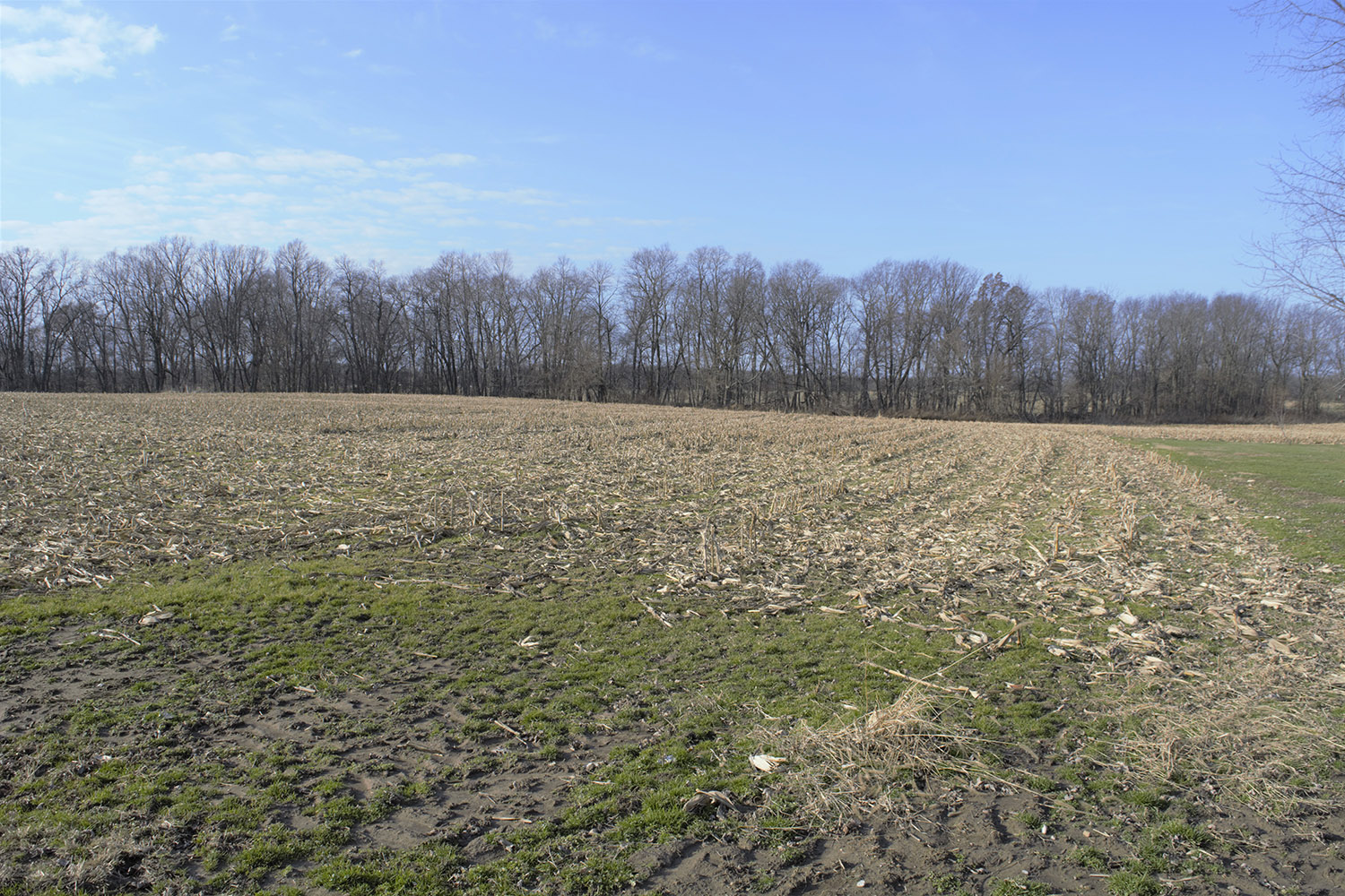 5.25+ Acre Building Lot Fountain County Farm Real Estate for Sale