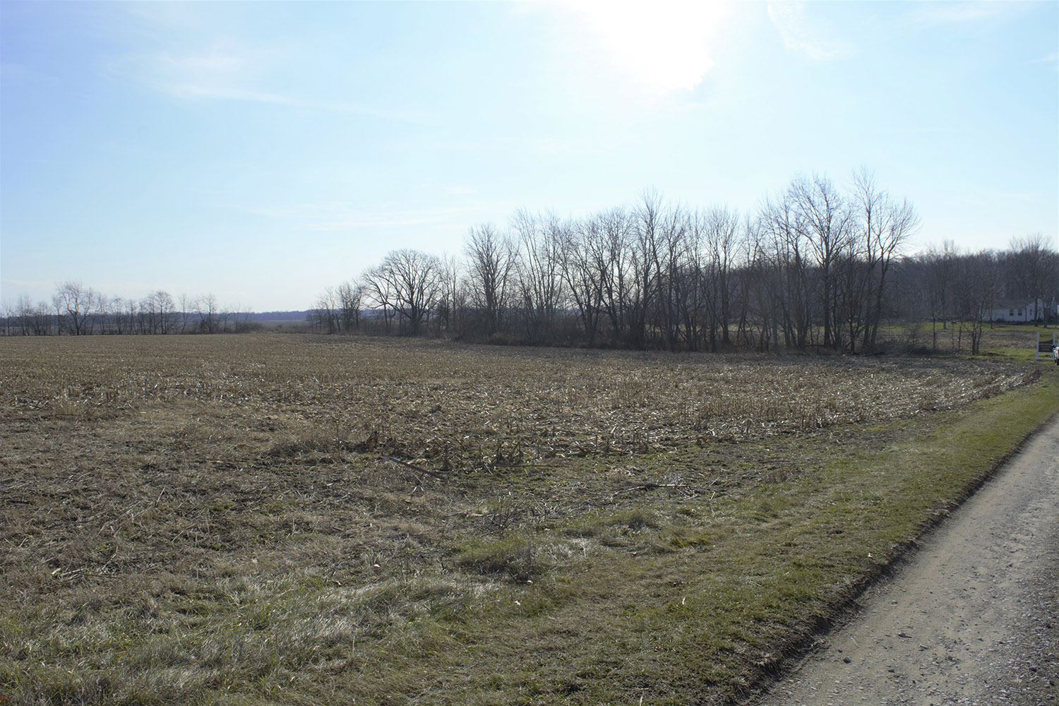 2land_property_for_sale