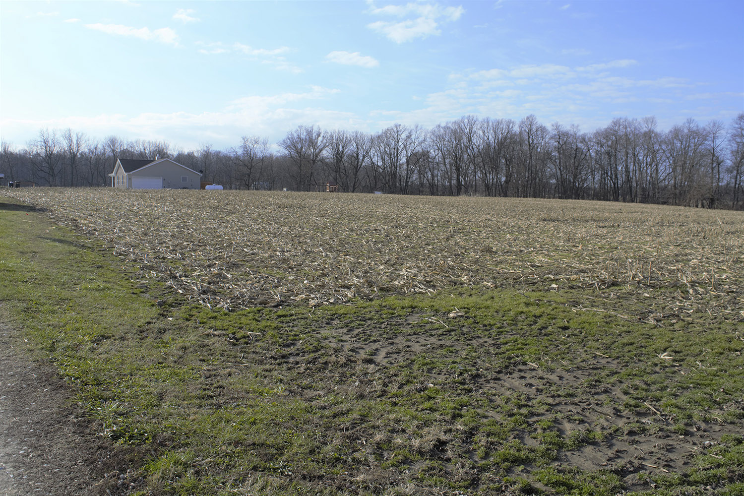 5.25+ Acre Building Lot Fountain County Farm Real Estate for Sale