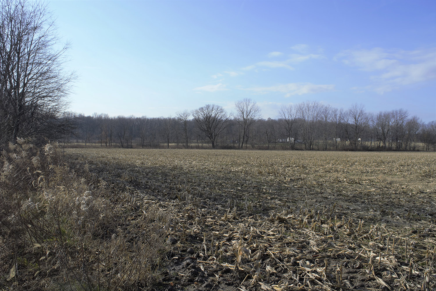 4land_property_for_sale