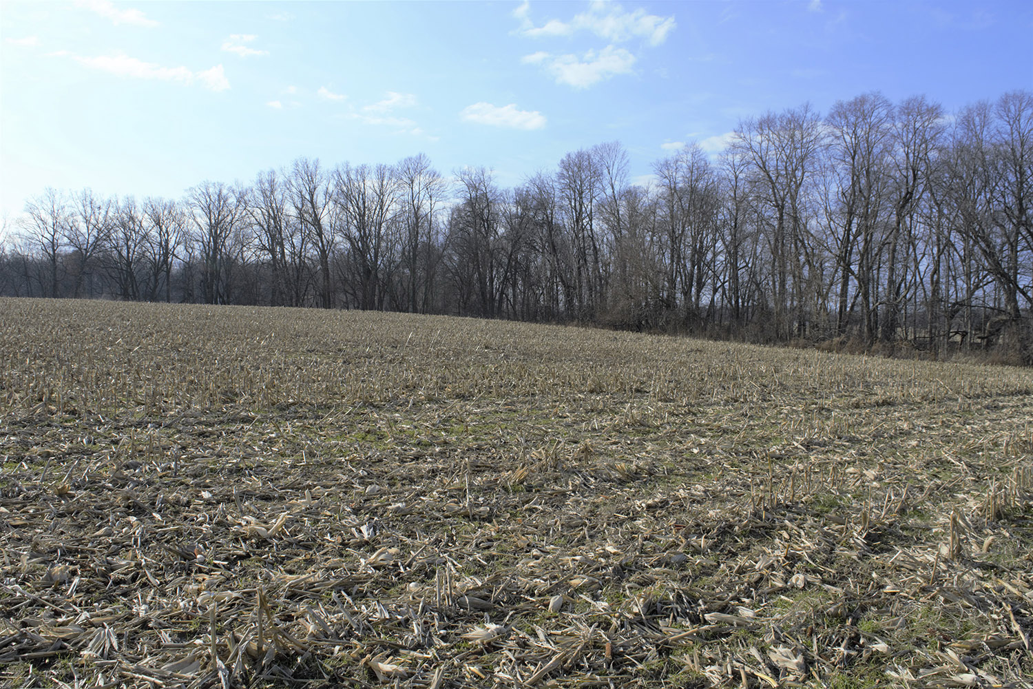 5.25+ Acre Building Lot Fountain County Farm Real Estate for Sale