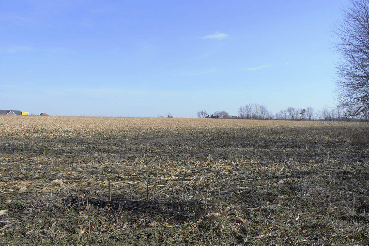 7land_property_for_sale