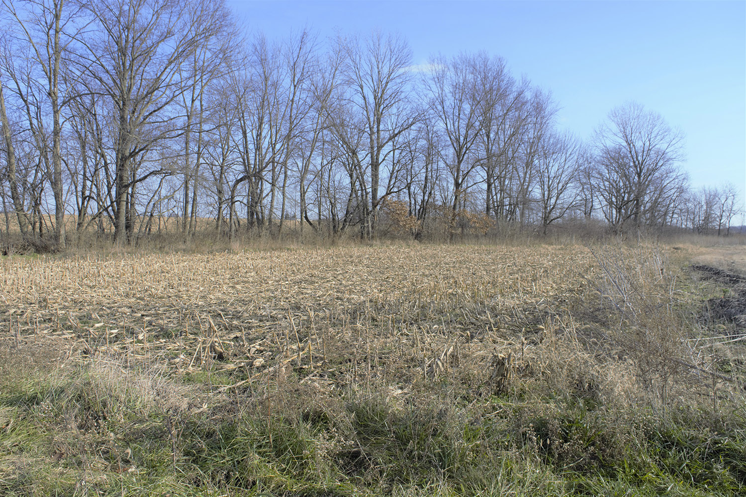 8land_property_for_sale