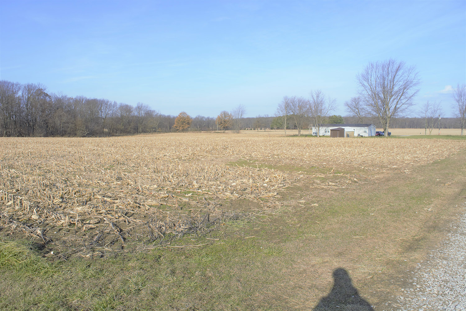 5.25+ Acre Building Lot Fountain County Farm Real Estate for Sale