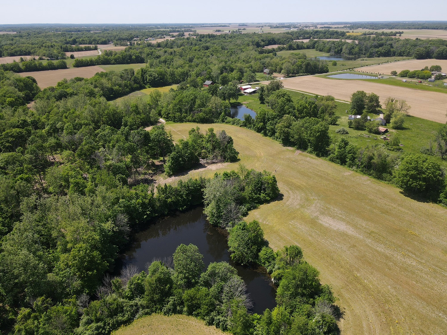 61 Acres Timber/Tillable Ground w/ Multiple Build Sites! Farm Real