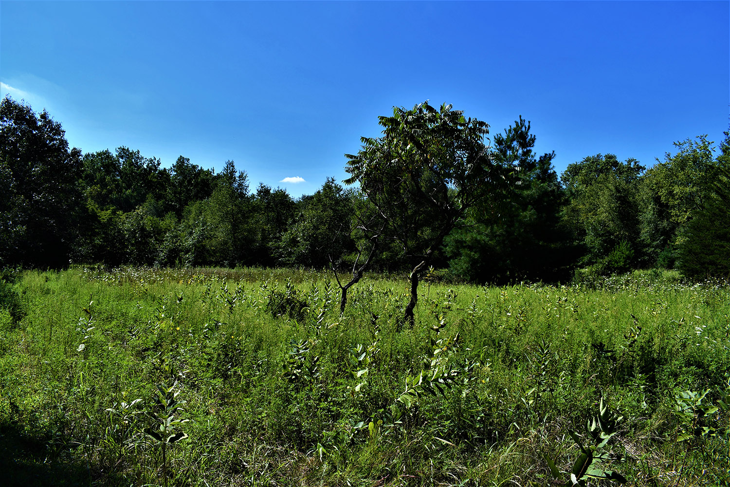 04farmland_real_estate
