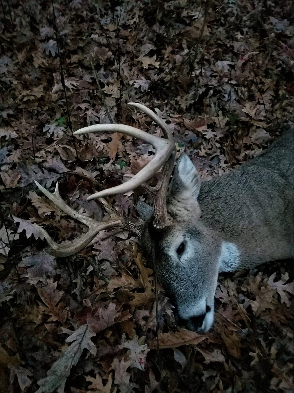 09farmland_real_estate