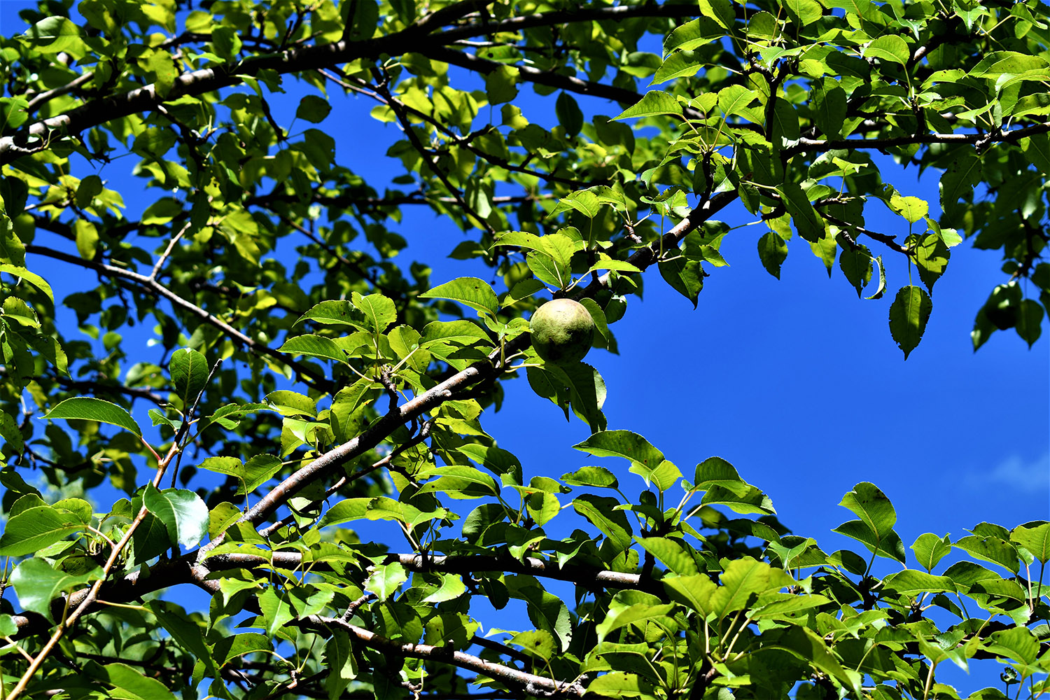 11farmland_real_estate