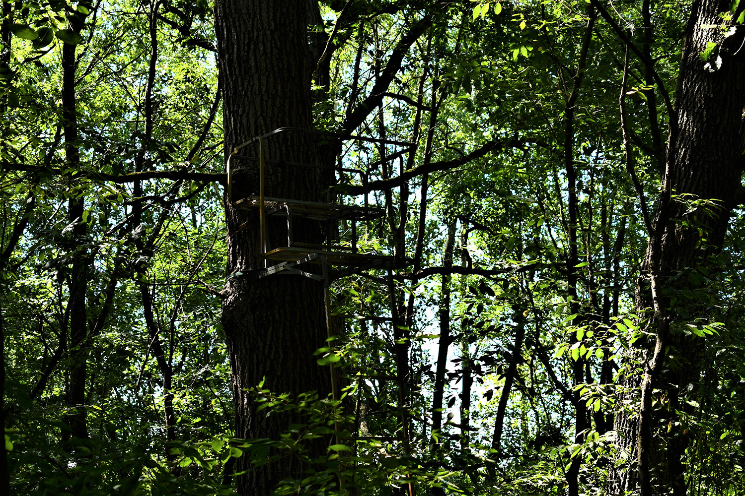 13farmland_real_estate