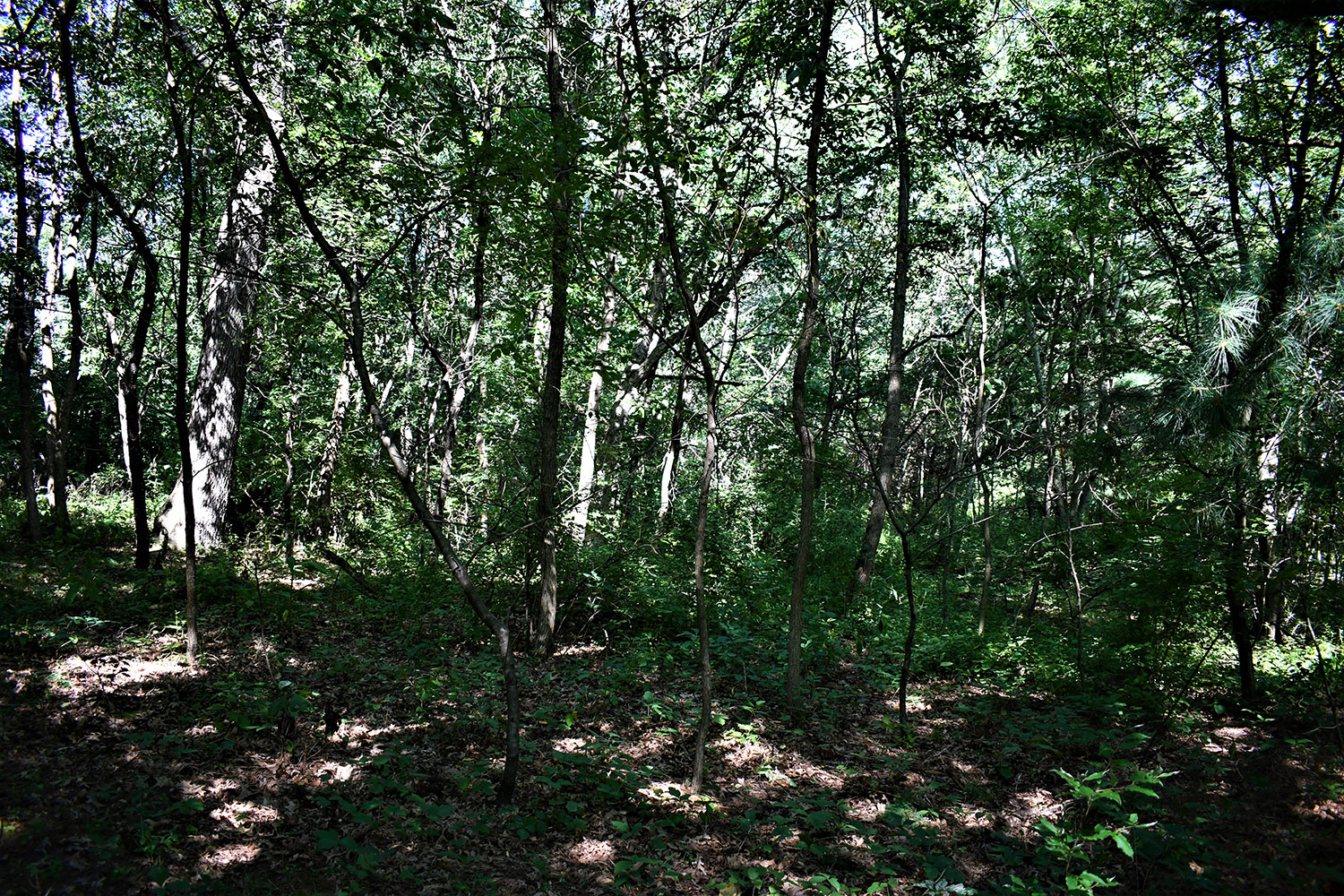 14farmland_real_estate