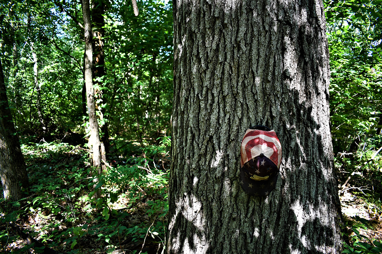 15farmland_real_estate