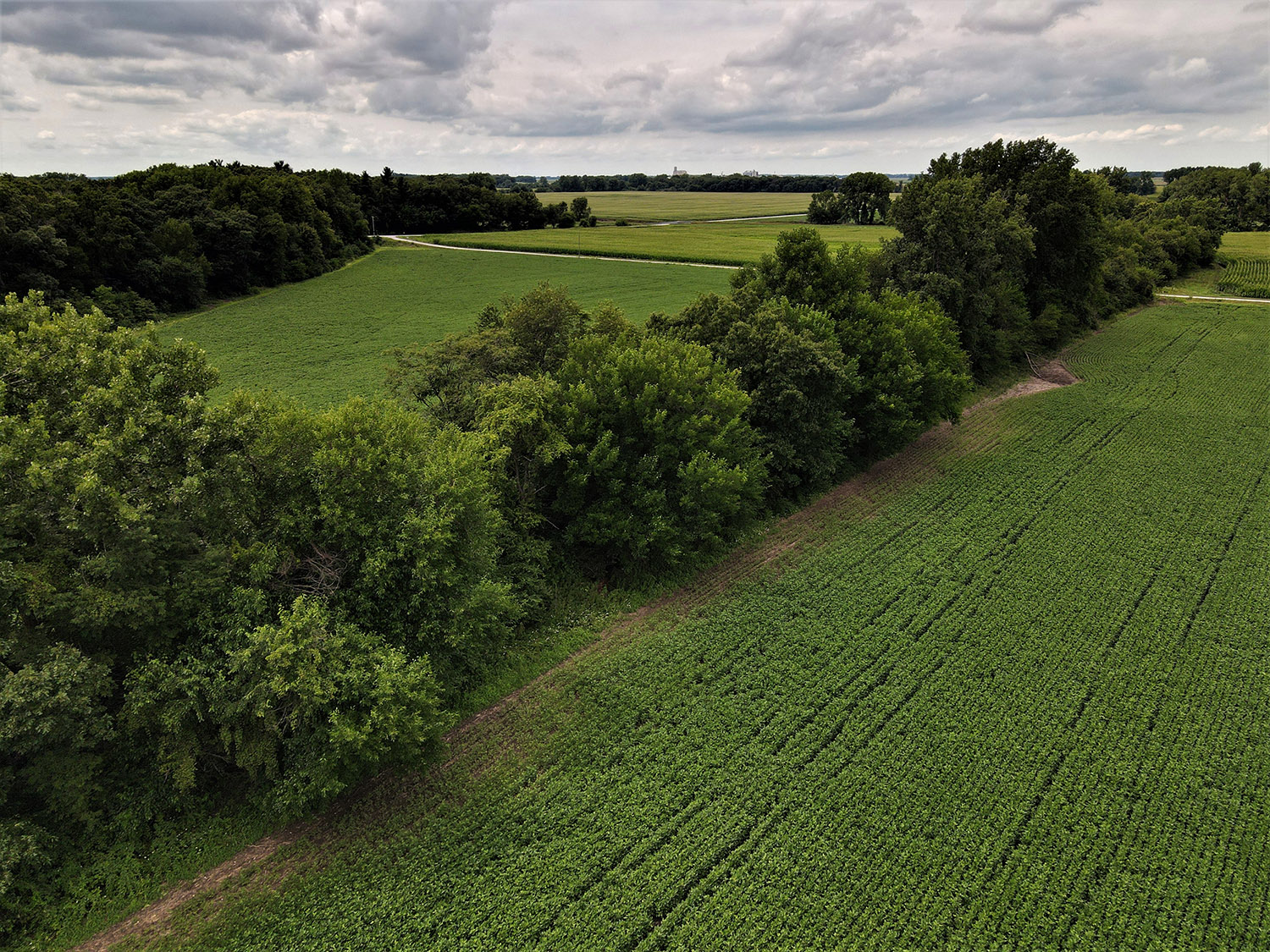 JASPER COUNTY, INDIANA 23.06 +/ ACRE FARM FOR SALE Farm Real Estate