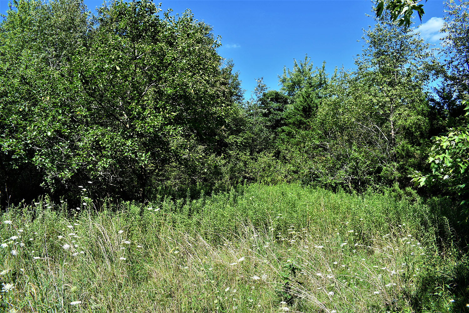 24farmland_real_estate