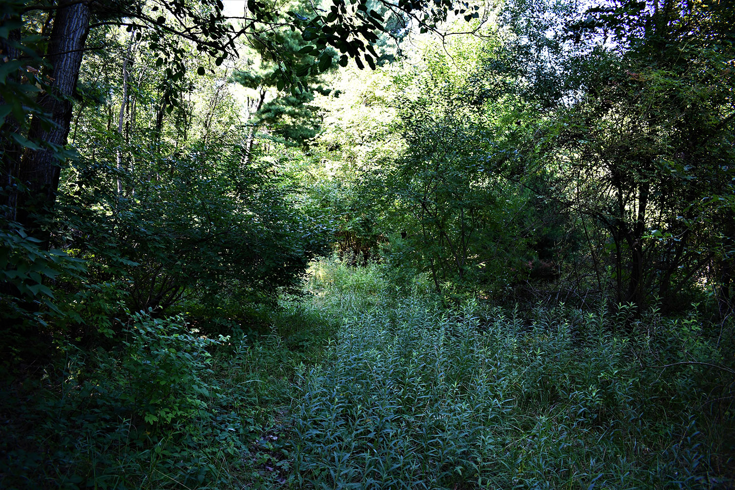 25farmland_real_estate