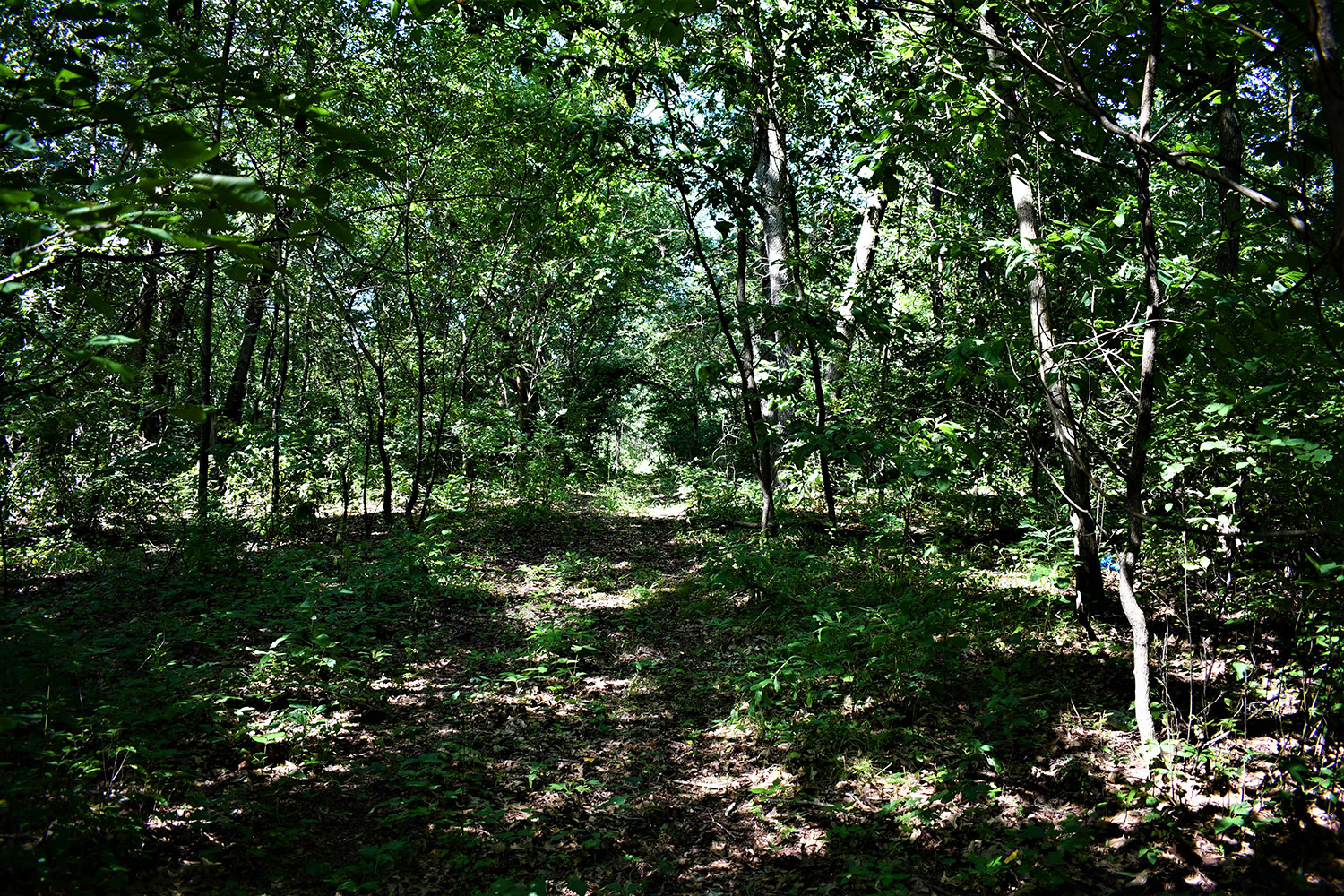 27farmland_real_estate