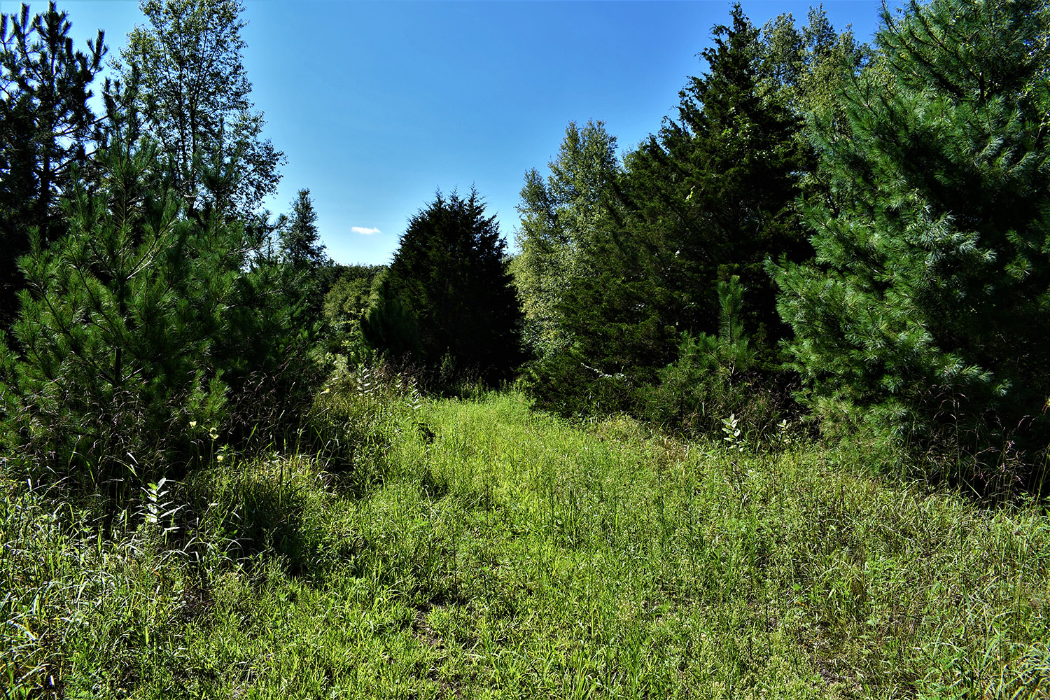 30farmland_real_estate